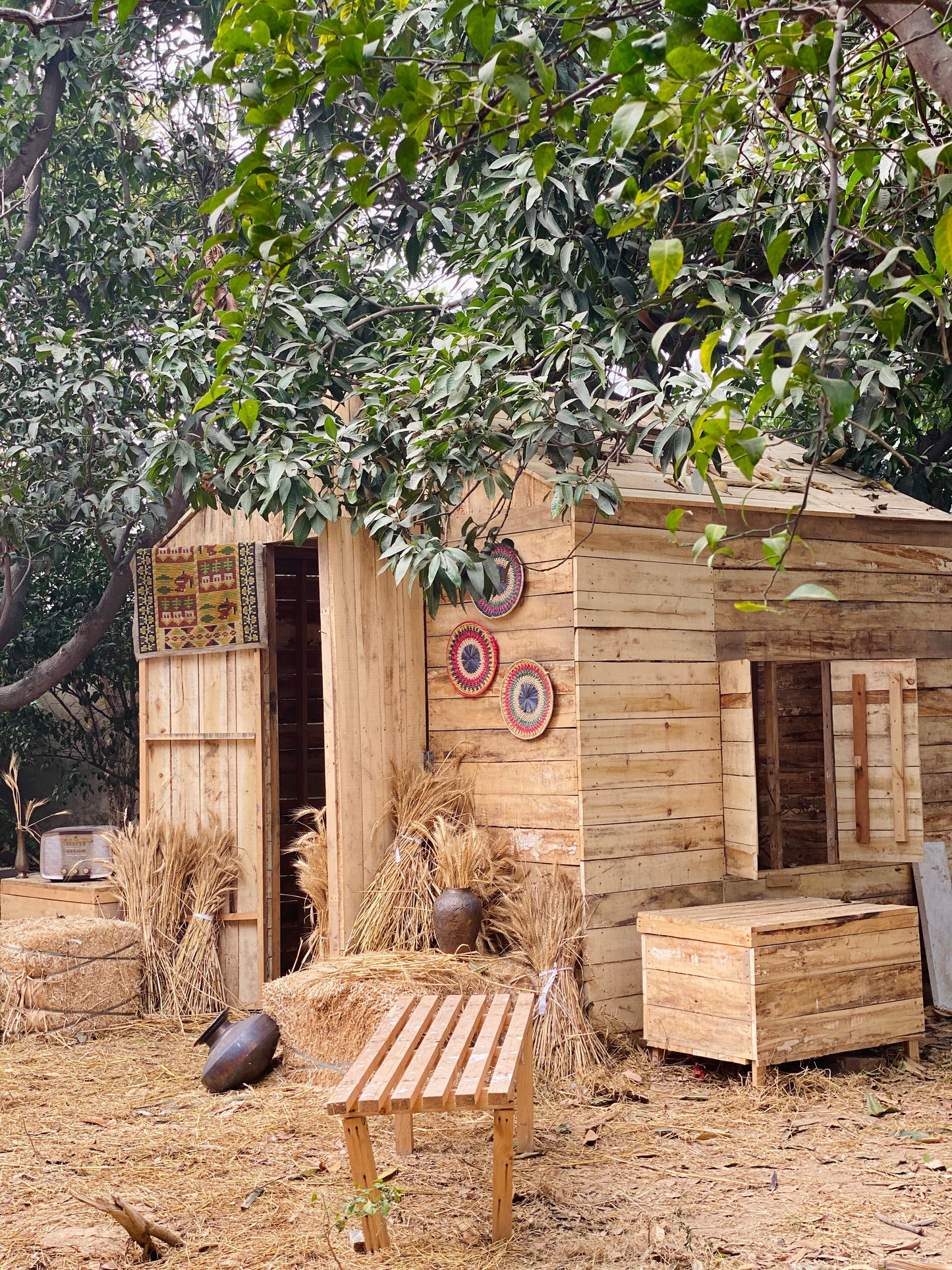 FOREST HUT