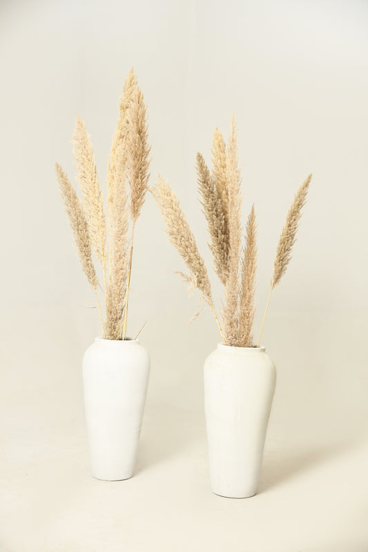 2 Plain Vase